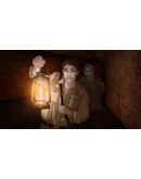 Двойное перерождение: a vampire visual novel STEAM KEY