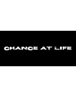 Chance at Life STEAM KEY REGION FREE GLOBAL ROW