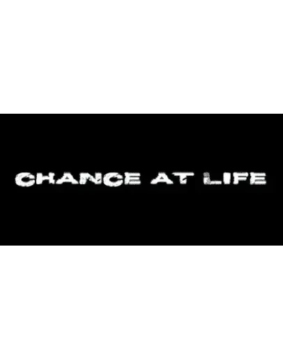 Chance at Life STEAM KEY REGION FREE GLOBAL ROW