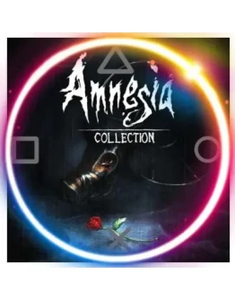 Amnesia: Collection (PS4/PS5/RU) П3 - Активация