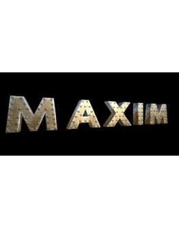 MAXIM STEAM KEY REGION FREE GLOBAL ROW + ПОДАРОК