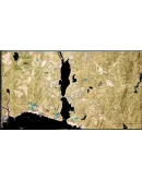 Squad - STEAM GIFT РОССИЯ