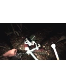 Snipe Hunt АВТОДОСТАВКА STEAM GIFT RU