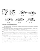 Дзю-До. Полная программа обучения по версии Кодокан