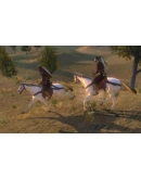 Mount and Blade: Warband STEAMRU АВТОДОСТАВКА 0