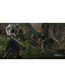 Dark Souls II (Steam key) RU CIS