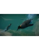 Planet Zoo: Aquatic Pack DLC Steam Gift Россия