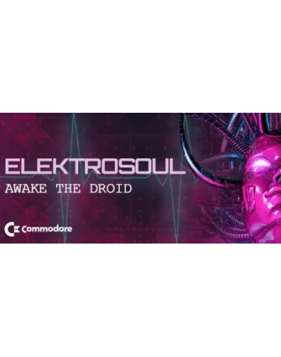 Elektrosoul STEAM KEY REGION FREE GLOBAL ROW +ПОДАРОК