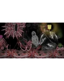 The Garden Of Celestial Globes STEAM KEY REGION GLOBAL