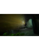 Sanity of Morris АВТОДОСТАВКА STEAM GIFT RU