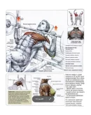 Атлас упражнений для ударной техники