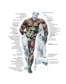 Атлас упражнений для ударной техники