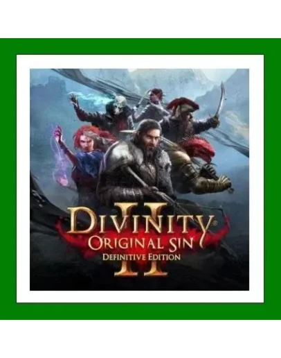 Divinity: Original Sin 2 - Definitive EditionSteam