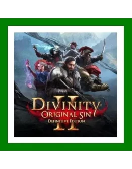Divinity: Original Sin 2 - Definitive EditionSteam