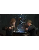 Hogwarts LEGACY DELUXE EDITION (STEAM)