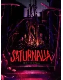 Saturnalia Epic Games GLOBAL АВТОВЫДАЧА 24/7