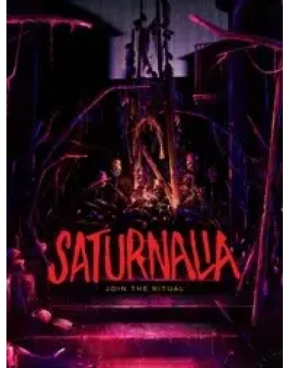 Saturnalia Epic Games GLOBAL АВТОВЫДАЧА24/7