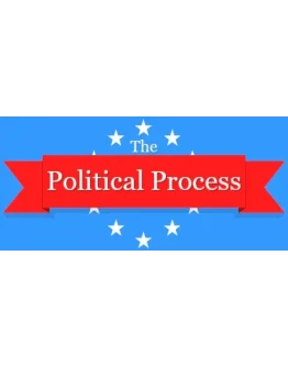 The Political Process АВТОДОСТАВКА STEAM GIFT RU