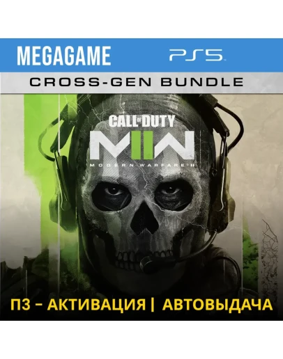 Call of Duty Modern Warfare II (PS5/RUS) П3-Активация