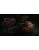 Hunt: Showdown - Meridian Turncoat STEAMRU АВТО 0