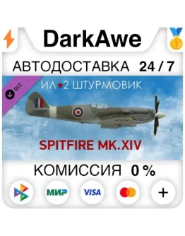 IL-2 Sturmovik: Spitfire Mk.XIV Collector Plane STEAM