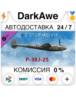IL-2 Sturmovik: P-38J-25 Collector Plane (Steam RU)
