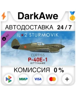 IL-2 Sturmovik: P-40E-1 Collector Plane (Steam RU) А