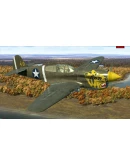 IL-2 Sturmovik: P-40E-1 Collector Plane (Steam RU) А