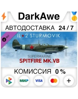 IL-2 Sturmovik: Spitfire Mk.VB Collector Plane (Steam