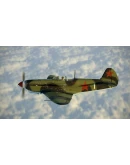IL-2 Sturmovik: Yak-1b Series 127 Collector Plane (Stea
