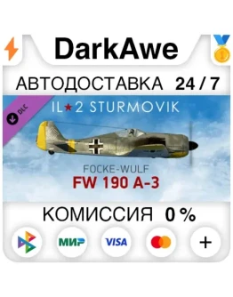 IL-2 Sturmovik: Fw 190 A-3 Collector Plane (Steam RU)
