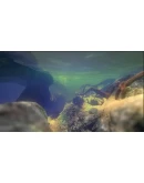 Feed and Grow: Fish - STEAM GIFT РОССИЯ