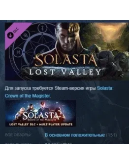 Solasta: Crown of the Magister Lost Valley STEAM РФ+СНГ