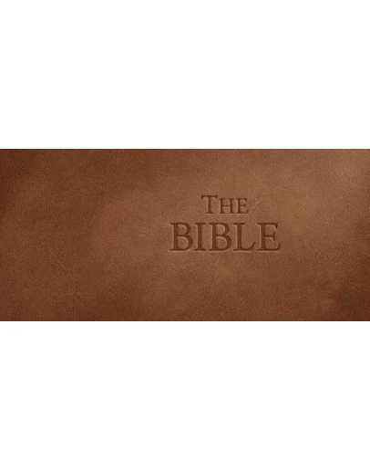 The Bible АВТОДОСТАВКА STEAM РОССИЯ