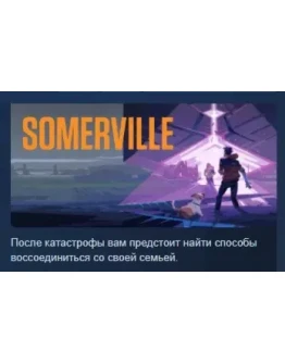 Somerville АВТОДОСТАВКА STEAM РОССИЯ