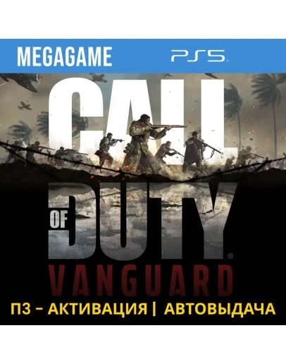 Call of Duty: Vanguard (PS5/RUS) П3-Активация