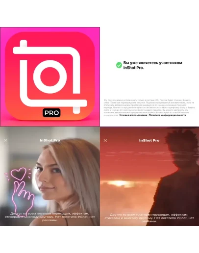 InShot Video PRO iPhone ios Appstore На Сутки