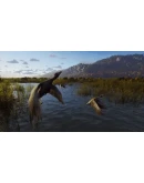 Way of the Hunter STEAM KEY РФ+СНГ СТИМ КЛЮЧ ЛИЦЕНЗИЯ Way of the Hunter STEAM KEY РФ+СНГ СТИМ КЛЮЧ ЛИЦЕНЗИЯ