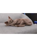 Summer Crush STEAMRU АВТОДОСТАВКА 0