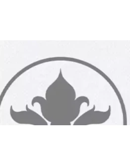 new academy master premium счёт 1 месяцев гарантия