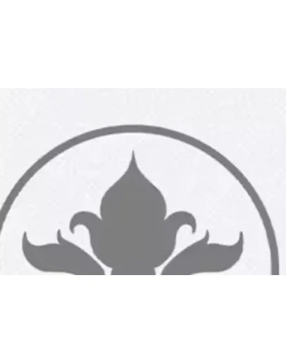 new academy master premium счёт 1 месяцев гарантия