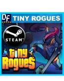 Tiny Rogues STEAM Аккаунт