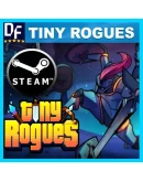 Tiny Rogues STEAM Аккаунтна 90 дней