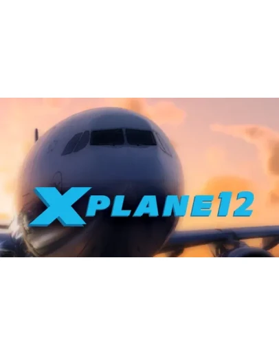 X-Plane 12 STEAM Аккаунтна 90 дней