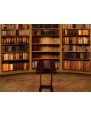 Spellbind : Luppe's tale АВТОДОСТАВКА STEAM РОССИЯ