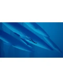 ABZU Xbox One &amp Xbox Series XS активация