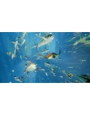 ABZU Xbox One &amp Xbox Series XS активация