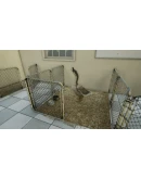 Animal Doctor Xbox One &amp Xbox Series XS активация