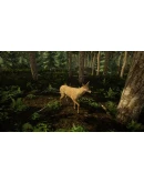 Animal Doctor Xbox One &amp Xbox Series XS активация