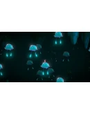 Hoa Xbox One &amp Xbox Series XS активация